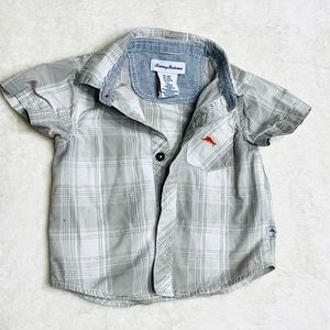 BABY Tommy Bahama 9/12M Button Down Shirt